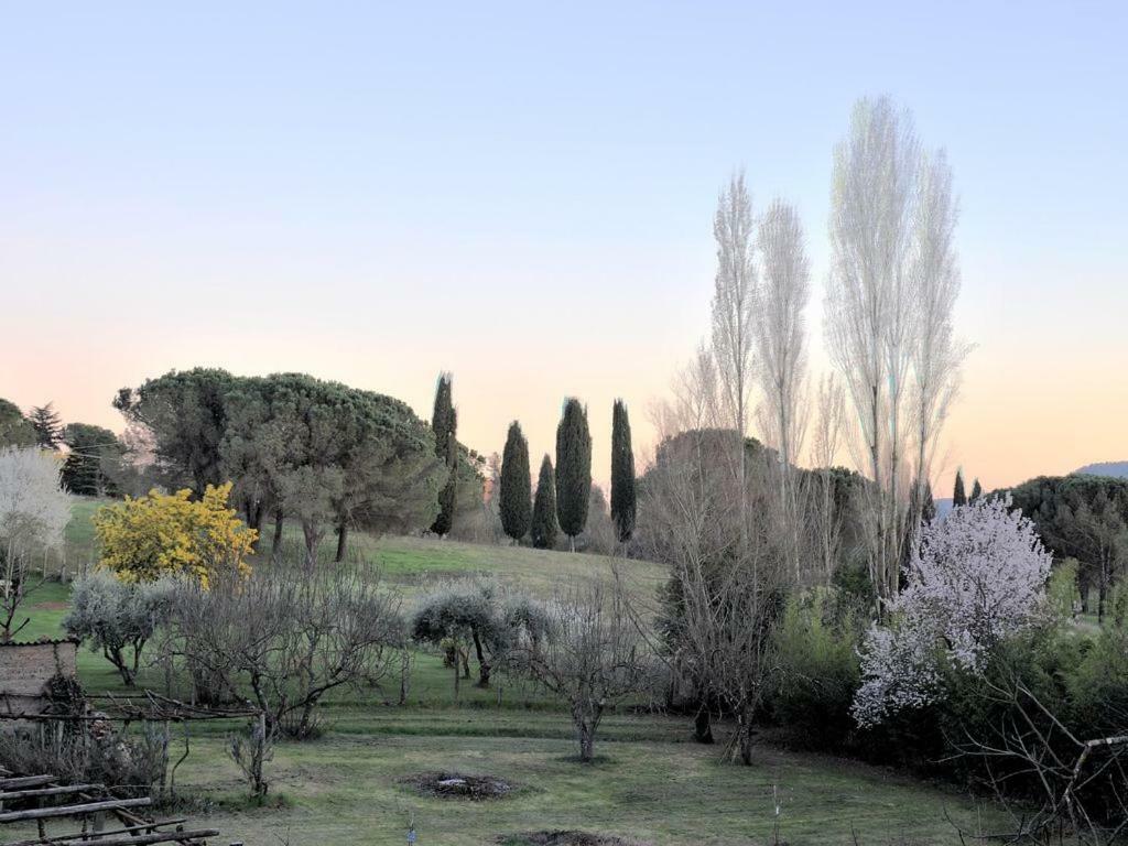 Il Maestro E L'Innamorata Sutri Exterior foto